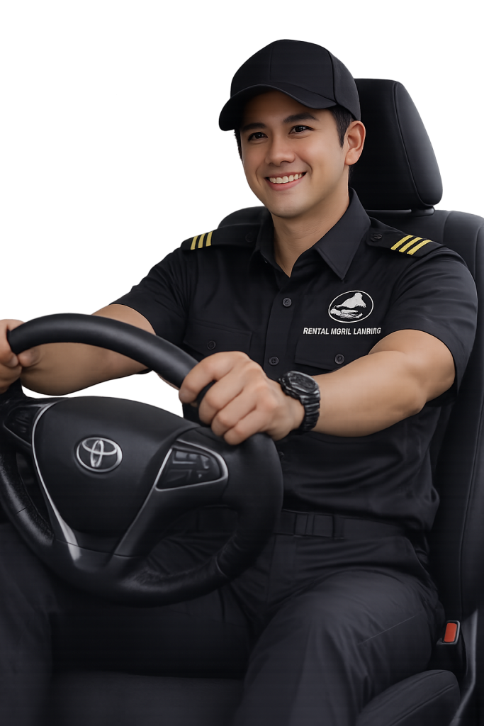driver profesional